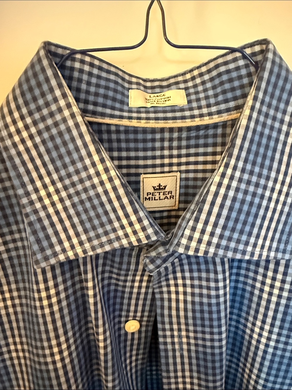 Peter Millar Blue and White Gingham Button-Down Shirt